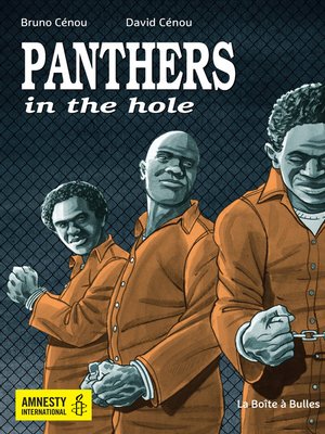 cover image of Panthers in the hole